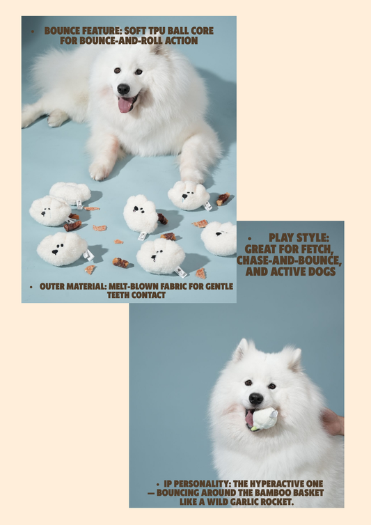 Mochi’s Bouncy Garlic