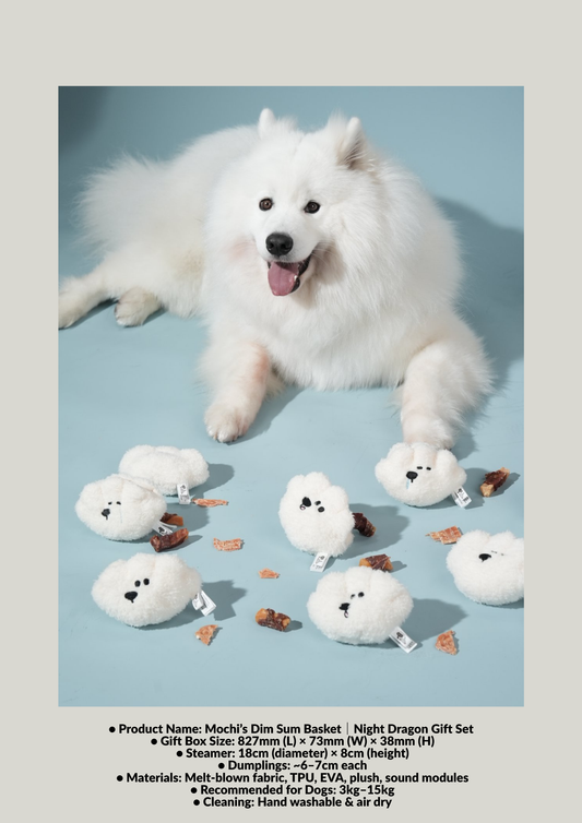 Mochi’s Dim Sum Basket