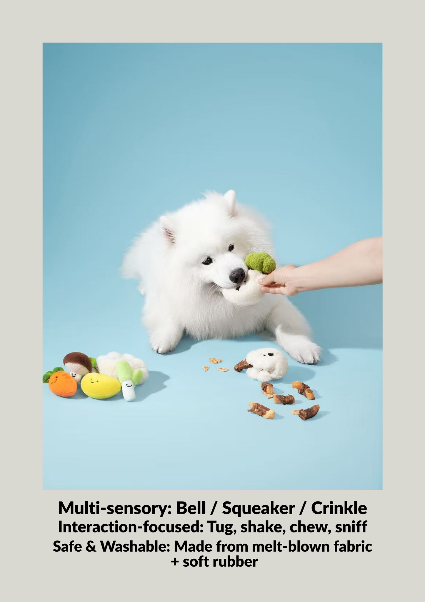 Mochi’s Dim Sum Basket