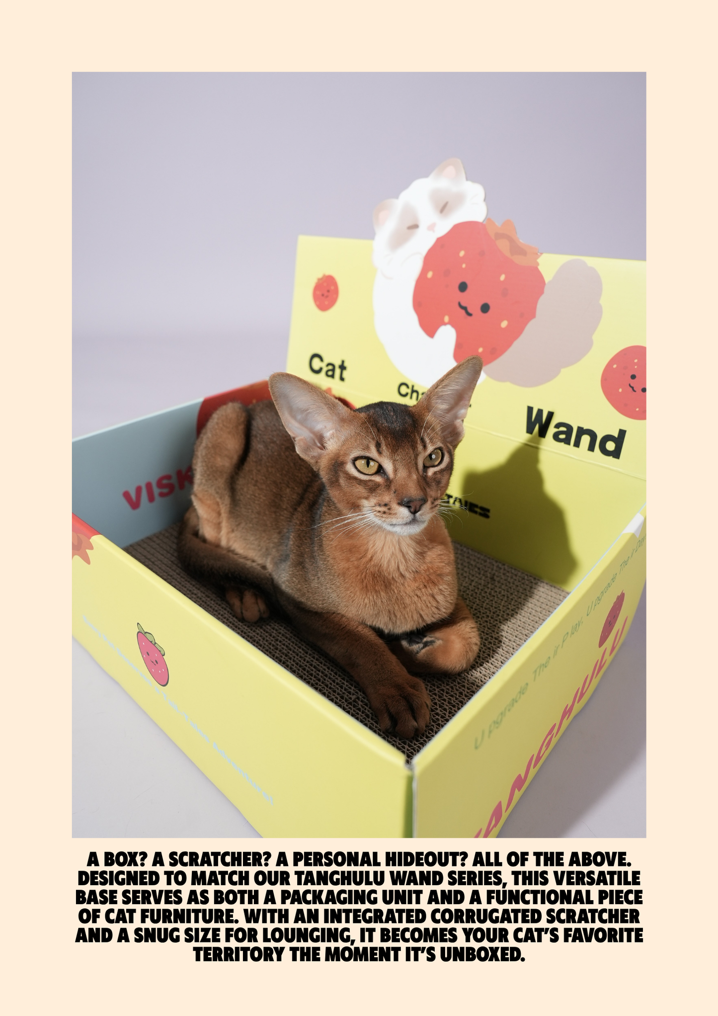 Visky Tanghulu Gift Box Set