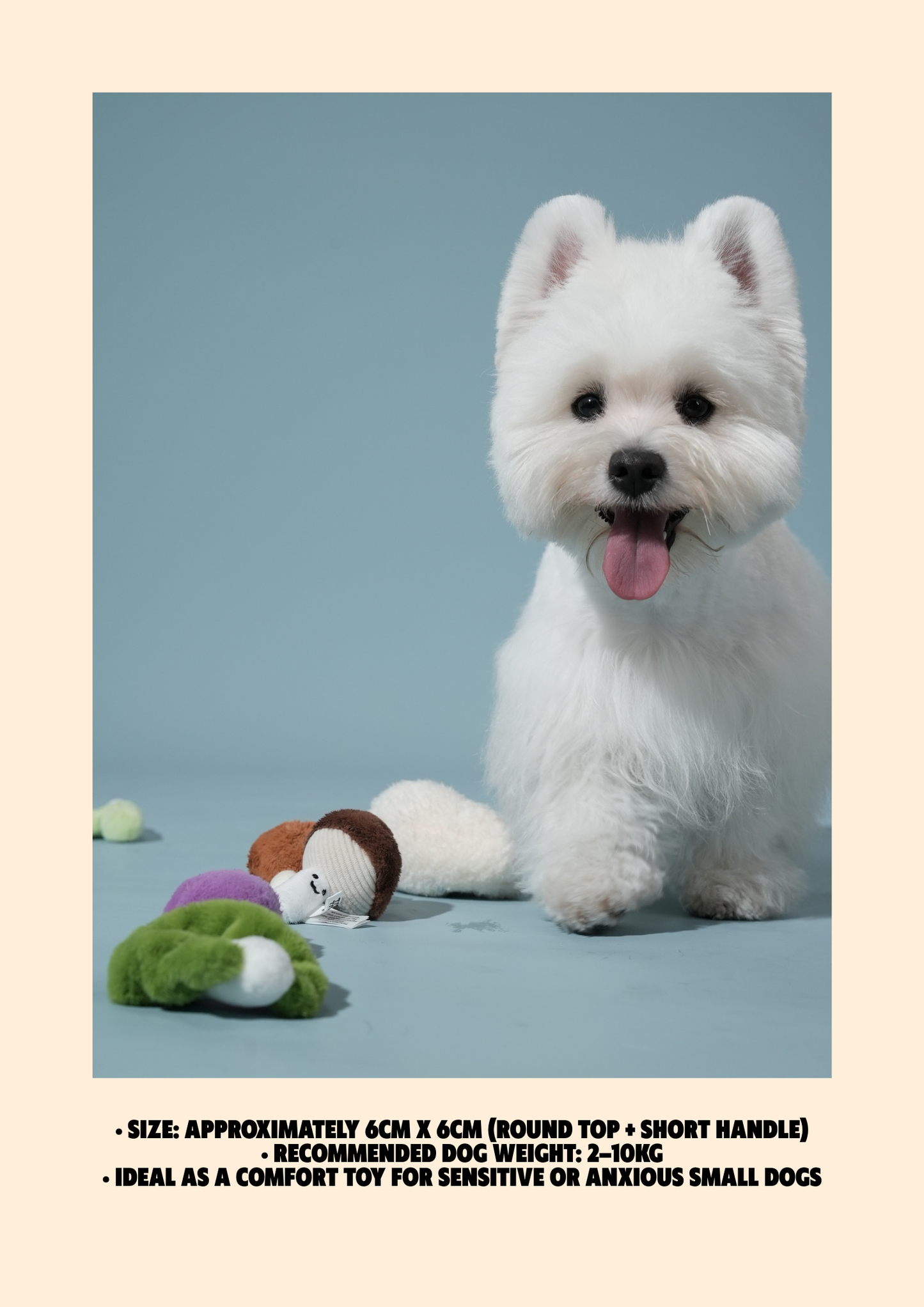 Mochi’s Forest Mushroom