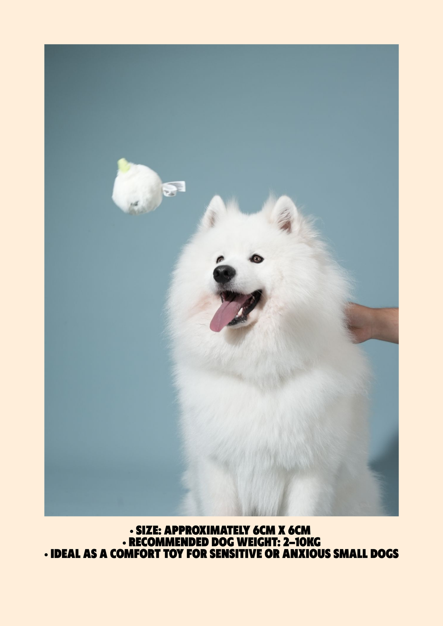 Mochi’s Bouncy Garlic